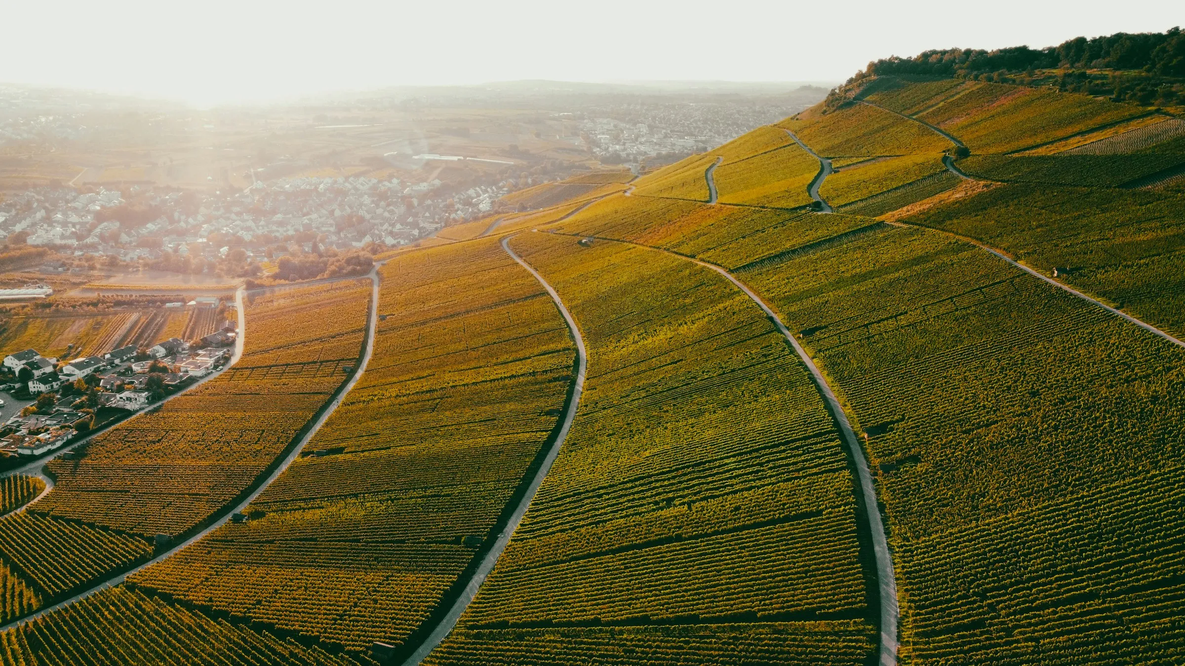 Panorama obradivih površina iz zraka